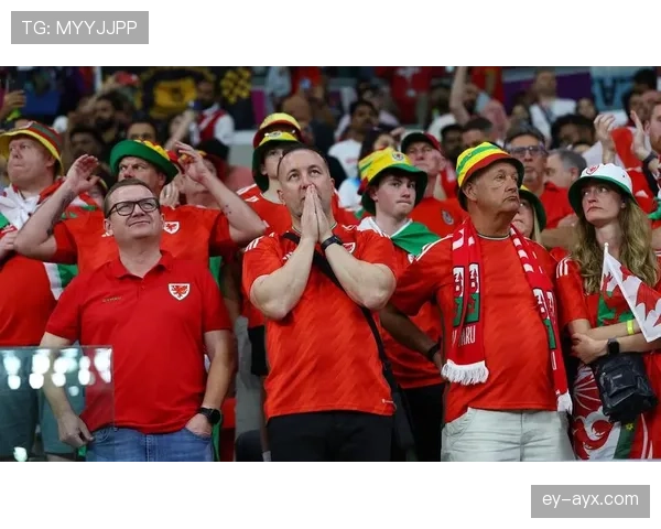 韩国队球迷方阵热情澎湃,世界杯赛场上演独特亮眼景观 韩国队球迷方阵热情澎湃,世界杯赛场上演独特亮眼景观